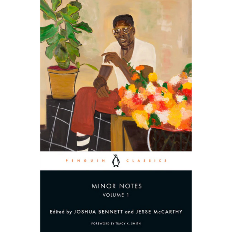 Minor Notes, Volume 1